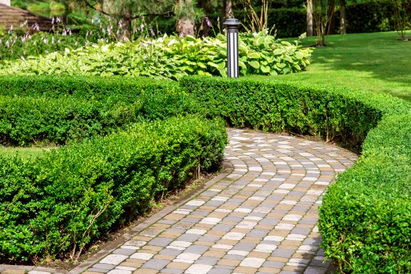 Paved Landscaping in Charleston