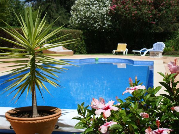 Pool Terrace Renovation in Charleston