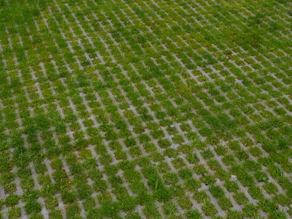 Permeable Pavement Service in Charleston